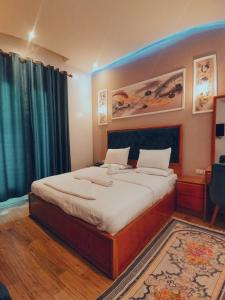 1 dormitorio con 1 cama grande en una habitación en golden palace down town en El Cairo