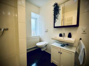 a bathroom with a toilet and a sink and a mirror at One Apartment‘s / Steinweg / Neu in Coburg