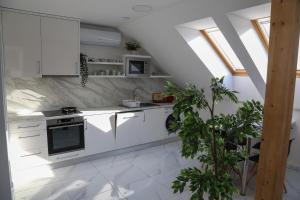 a white kitchen with white cabinets and a plant at Mizzou Apartman Sárvár in Sárvár