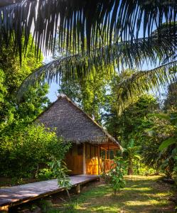 eine kleine Hütte mitten im Wald in der Unterkunft Tres Chimbadas Lake Lodge in Tambopata