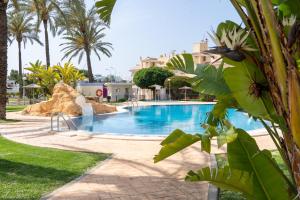 uma piscina num resort com palmeiras em Apartamento planta baja Residencial Aquamarina by costablancarent em Denia