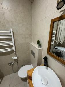 ein Badezimmer mit einem Waschbecken, einem WC und einem Spiegel in der Unterkunft Tea's apartment in Tbilisi in Tbilisi City