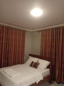 Ce lit se trouve dans un dortoir doté de rideaux et d'une lampe. dans l'établissement S A Apartments, à Kampala