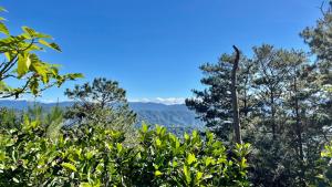 Gallery image of Mountain view room at Forest Lodge Hotel, Camp John Hay-Private unit 549 in Baguio