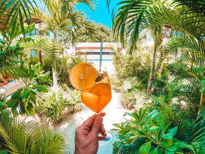 Zahrada ubytování Hotel Boutique Naj Casa Holbox