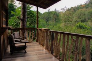 a porch with a chair and a view of the forest at Finca La Unión in Turrialba
