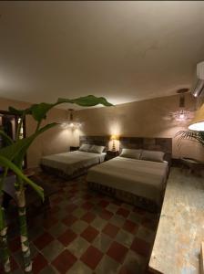 um quarto com duas camas e uma planta nele em Casa Sílice em Valladolid