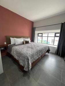 瓜達拉哈拉的住宿－Quinta La Perla，一间卧室设有一张床和一个大窗户