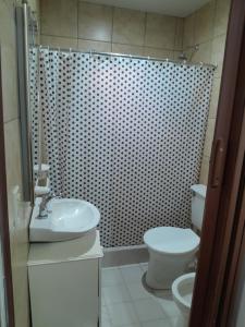 een badkamer met een wastafel, een toilet en een douche bij La rivera in Chajarí