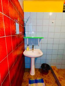a bathroom with a sink and a green shelf at Teraupoo Lodge Maison in Afareaitu +2 photos