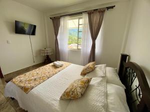 1 dormitorio con cama con almohadas y ventana en Casa Lubel, en Salento
