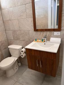 ein Badezimmer mit Toilette, Waschbecken und Spiegel in der Unterkunft EMY HOUSE in La Laguna + 63 Fotos