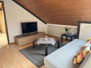 a living room with a couch and a tv at Ferienwohnung Löchgau in Löchgau