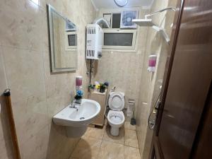 een kleine badkamer met een toilet en een wastafel bij Luxury apartment Downtown Cairo (Amazing, Central) in Caïro