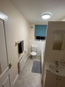 a small bathroom with a toilet and a sink at Charming 2-Bedroom Retreats in Axminster