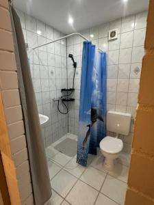 a bathroom with a toilet and a blue shower curtain at FeWo im Reit- und Ponyparadies Roos in Halle