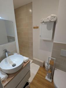 ein Badezimmer mit einem weißen Waschbecken und einem WC in der Unterkunft Le Green Moderne centre ville parking gratuit in Montluçon