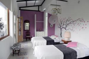 een slaapkamer met 2 bedden en een paarse muur bij Posada Las Bromelias in Silvania
