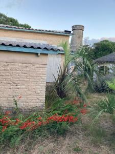 una casa con fiori rossi nel cortile di La Torre Del Coronel a La Pedrera