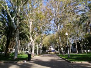 une rue bordée d'arbres dans un parc avec un feu de rue dans l'établissement Trotamundos, apartamento nuevo en el centro, à Cordoue