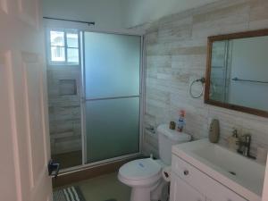 聖瑪麗的住宿－Sunshine D，带淋浴、卫生间和盥洗盆的浴室