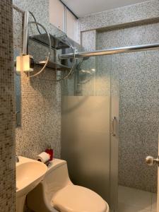 La salle de bains est pourvue de toilettes et d'une douche en verre. dans l'établissement Central boutique Trujillo, à Trujillo