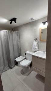 een badkamer met toilet en wastafel bij Cara Sur Bariloche in Bariloche