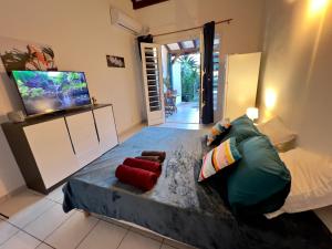 Televizorius ir (arba) pramogų centras apgyvendinimo įstaigoje Mabouya cosy vue mer, jacuzzi, jardin