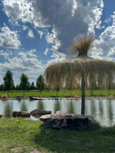 a palm tree in the middle of a pond at Complejo Koi in General Alvear