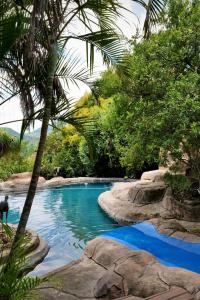 a swimming pool with blue water and a palm tree at Leopards Ledge in Nelspruit