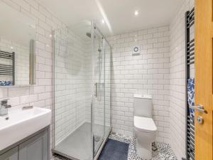 a bathroom with a shower and a toilet and a sink at Wynmine Cottage in Esh