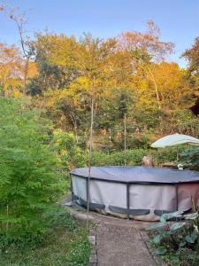 una bañera de hidromasaje en medio de un jardín en Casa Irene, en Orotina
