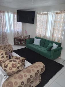 a living room with a green couch and a tv at Chic Vybz Deluxe in Four Mile