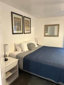 a bedroom with a blue bed and a mirror at Red Hen Rental - 2 bed with 1 FULL bath 1 HALF bath FULL Kitchen in Cedar City