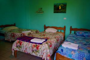 2 camas en una habitación con paredes verdes en Hilltop Horizon Guesthouse, en San Ignacio