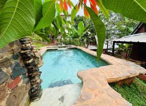 a small swimming pool in a garden with a tree at El campo en Jarabacoa in Jarabacoa +21 photos