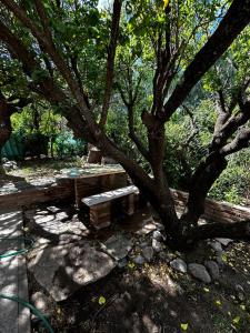 una mesa de picnic bajo un árbol en un parque en Departamentos Posada de los angeles en Capilla del Monte