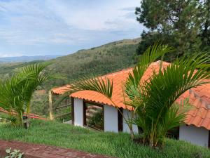 a house with an orange roof and two palm trees at Loft Teto Muriquis in Nova Lima