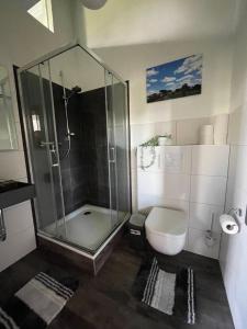 a bathroom with a glass shower and a toilet at Ecolodge Loft in Oesterdeichstrich +10 photos