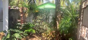 einen Garten mit vielen Pflanzen und einem Zaun in der Unterkunft Singleroom in Trincomalee