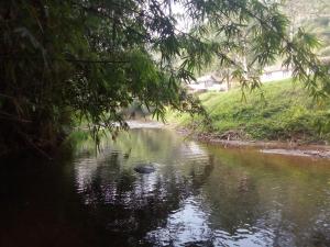 a river with a tree hanging over it at River View Guest Rooms in Vythiri