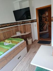 Zimmer mit einem Bett und einem Flachbild-TV in der Unterkunft Pension und Gaststätte Zur Knappenschänke in Wiesa