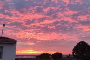 una puesta de sol en el cielo con rosa en Refugio rural cerca de El Rocio- El flamenco azul en Almonte