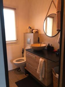 a bathroom with a sink and a toilet and a mirror at Cocooning little house in Viry-Châtillon