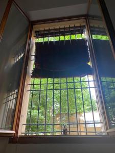 una ventana en una habitación con vistas a los árboles en San felice studio en Bolonia
