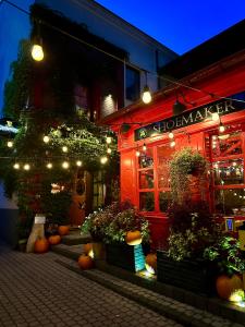 una tienda con luces y plantas delante de ella en Shoemaker Irish Pub & Accommodation, en Kielce