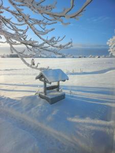 a snow covered bench sitting on a snow covered beach at Kopli majutus in Salu