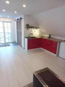 an empty kitchen with red cabinets in a room at Kopli majutus in Salu