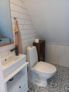 ein Badezimmer mit einem weißen WC und einem Waschbecken in der Unterkunft Kopli majutus in Salu