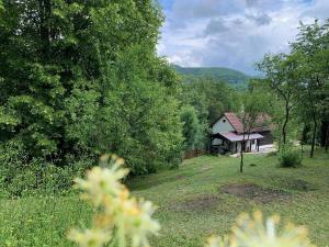 a house in the middle of a field with trees at chalupa Komora in Lužná